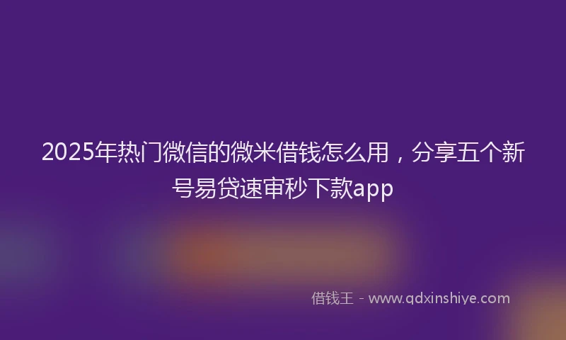 2025年热门微信的微米借钱怎么用，分享五个新号易贷速审秒下款app