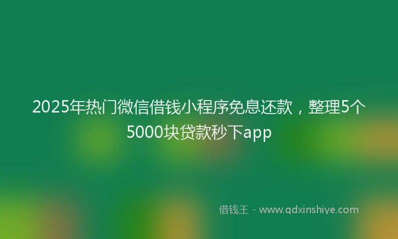 2025年热门微信借钱小程序免息还款，整理5个5000块贷款秒下app