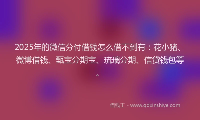 2025年的微信分付借钱怎么借不到有：花小猪、微博借钱、甄宝分期宝、琉璃分期、信贷钱包等。