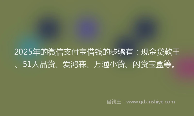 2025年的微信支付宝借钱的步骤有：现金贷款王、51人品贷、爱鸿森、万通小贷、闪贷宝盒等。