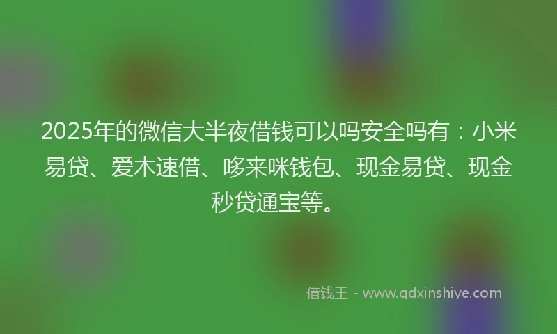 2025年的微信大半夜借钱可以吗安全吗有：小米易贷、爱木速借、哆来咪钱包、现金易贷、现金秒贷通宝等。