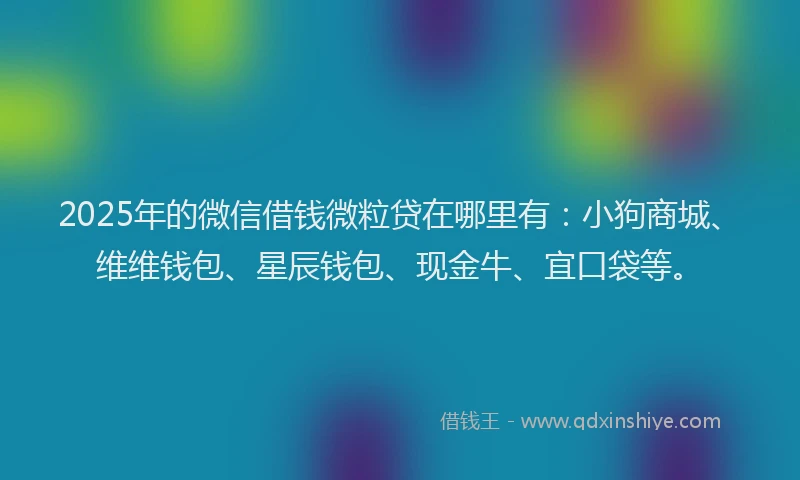 2025年的微信借钱微粒贷在哪里有：小狗商城、维维钱包、星辰钱包、现金牛、宜口袋等。