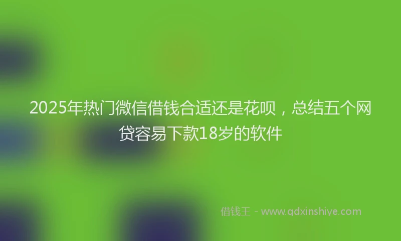2025年热门微信借钱合适还是花呗，总结五个网贷容易下款18岁的软件