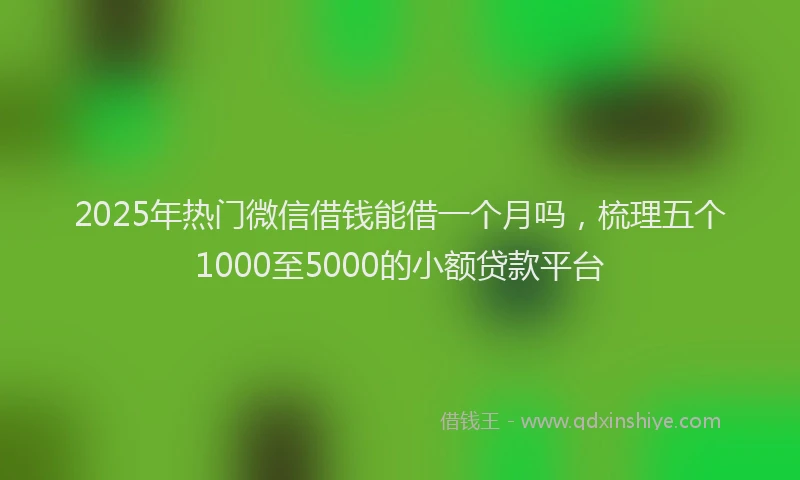 2025年热门微信借钱能借一个月吗，梳理五个1000至5000的小额贷款平台