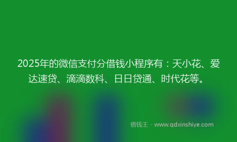 2025年的微信支付分借钱小程序有：天小花、爱达速贷、滴滴数科、日日贷通、时代花等。