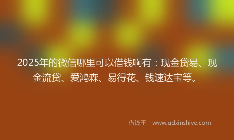 2025年的微信哪里可以借钱啊有：现金贷易、现金流贷、爱鸿森、易得花、钱速达宝等。