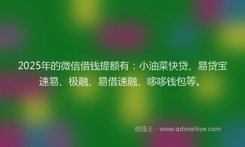 2025年的微信借钱提额有：小油菜快贷、易贷宝速易、极融、易借速融、哆哆钱包等。
