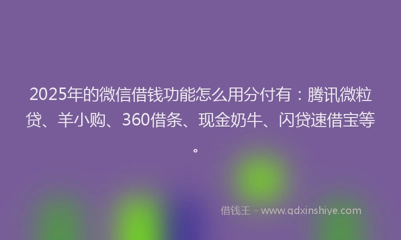 2025年的微信借钱功能怎么用分付有：腾讯微粒贷、羊小购、360借条、现金奶牛、闪贷速借宝等。