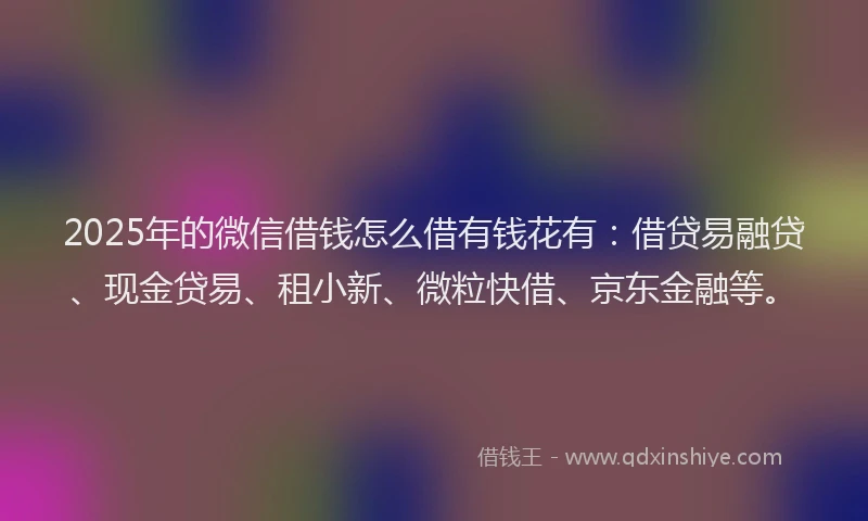 2025年的微信借钱怎么借有钱花有：借贷易融贷、现金贷易、租小新、微粒快借、京东金融等。