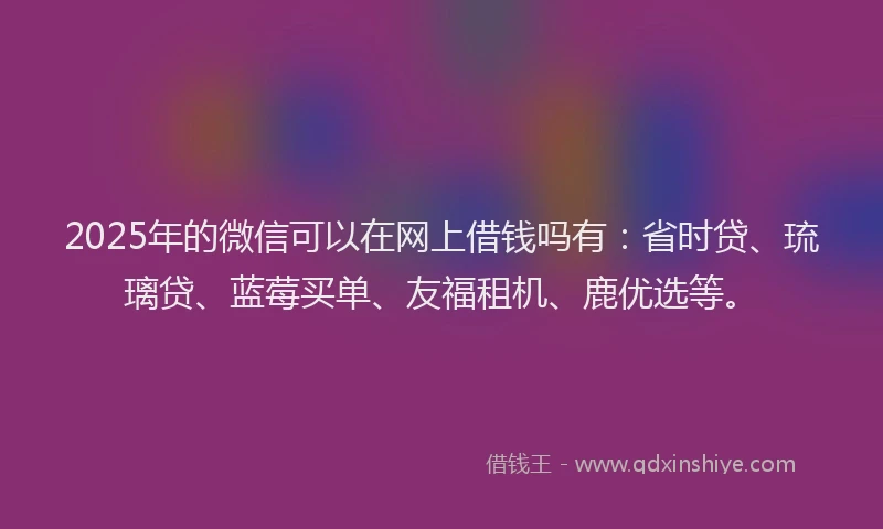 2025年的微信可以在网上借钱吗有：省时贷、琉璃贷、蓝莓买单、友福租机、鹿优选等。