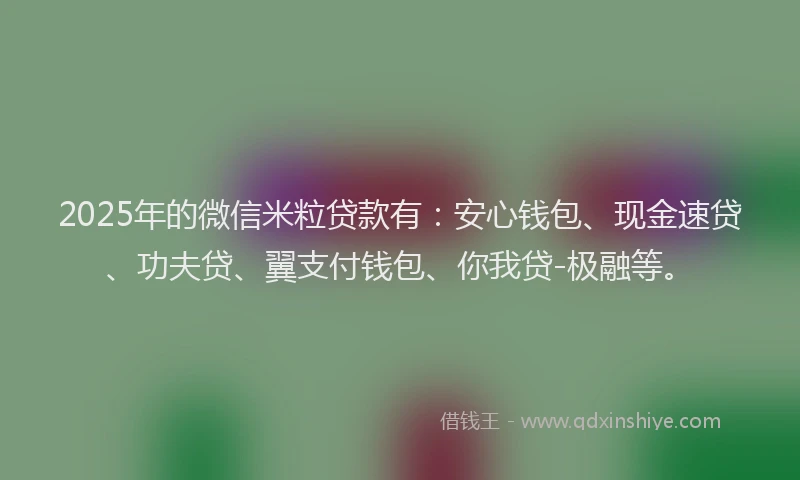 2025年的微信米粒贷款有：安心钱包、现金速贷、功夫贷、翼支付钱包、你我贷-极融等。