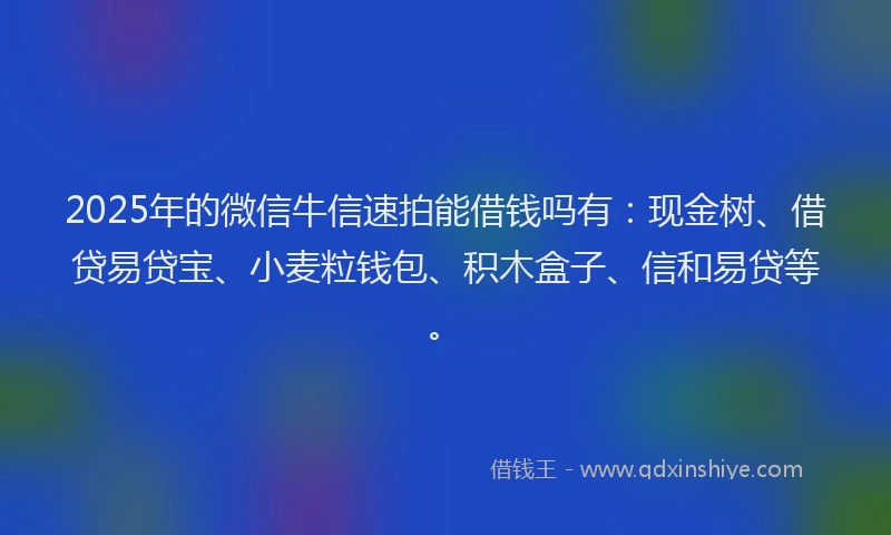 2025年的微信牛信速拍能借钱吗有：现金树、借贷易贷宝、小麦粒钱包、积木盒子、信和易贷等。