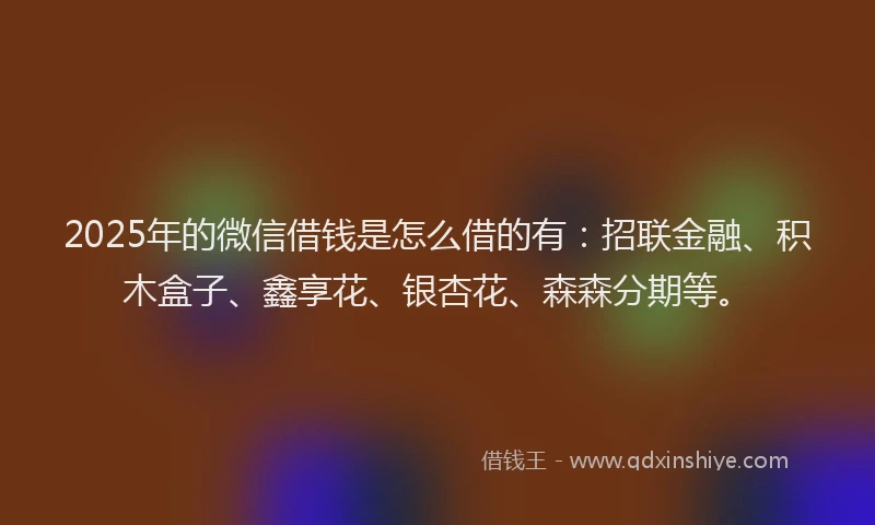 2025年的微信借钱是怎么借的有：招联金融、积木盒子、鑫享花、银杏花、森森分期等。