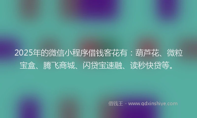 2025年的微信小程序借钱客花有：葫芦花、微粒宝盒、腾飞商城、闪贷宝速融、读秒快贷等。