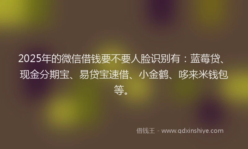 2025年的微信借钱要不要人脸识别有：蓝莓贷、现金分期宝、易贷宝速借、小金鹤、哆来米钱包等。