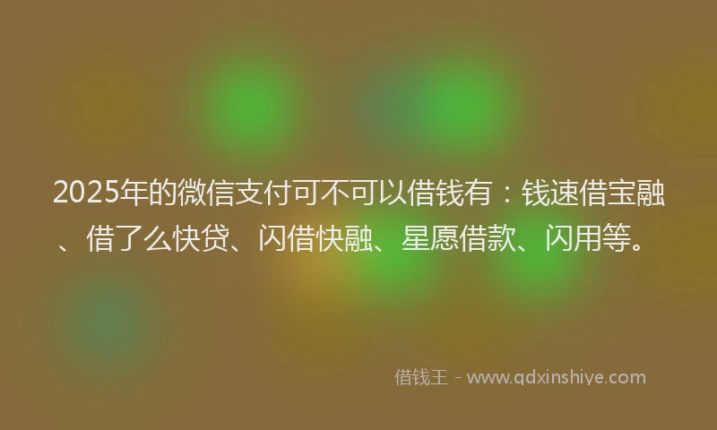 2025年的微信支付可不可以借钱有：钱速借宝融、借了么快贷、闪借快融、星愿借款、闪用等。