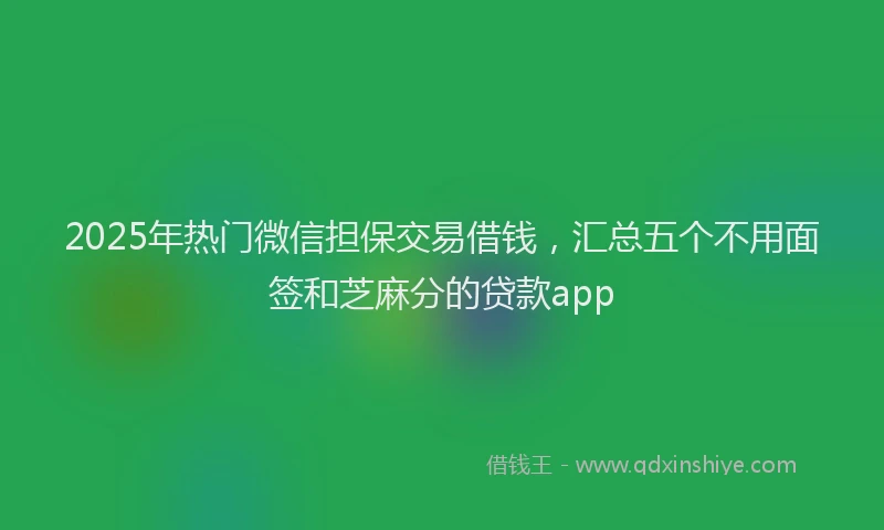 2025年热门微信担保交易借钱，汇总五个不用面签和芝麻分的贷款app
