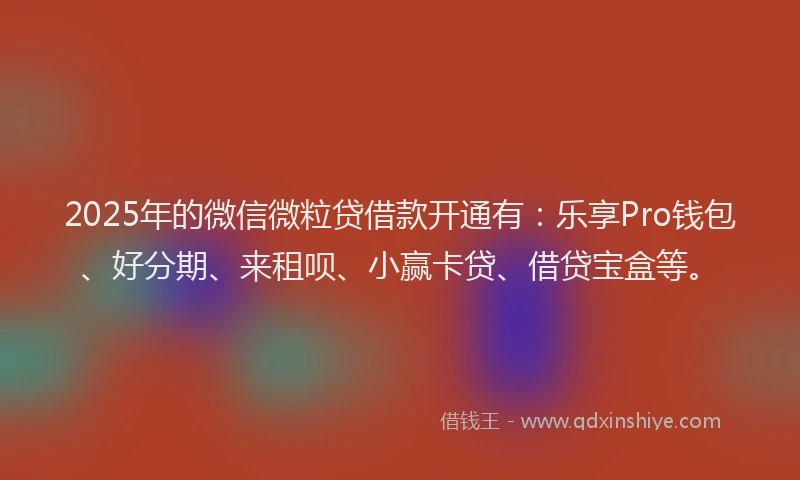 2025年的微信微粒贷借款开通有：乐享Pro钱包、好分期、来租呗、小赢卡贷、借贷宝盒等。