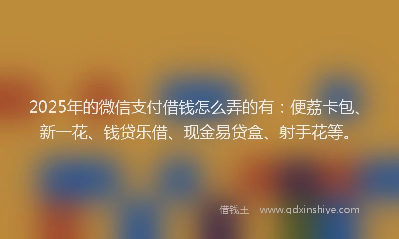 2025年的微信支付借钱怎么弄的有：便荔卡包、新一花、钱贷乐借、现金易贷盒、射手花等。