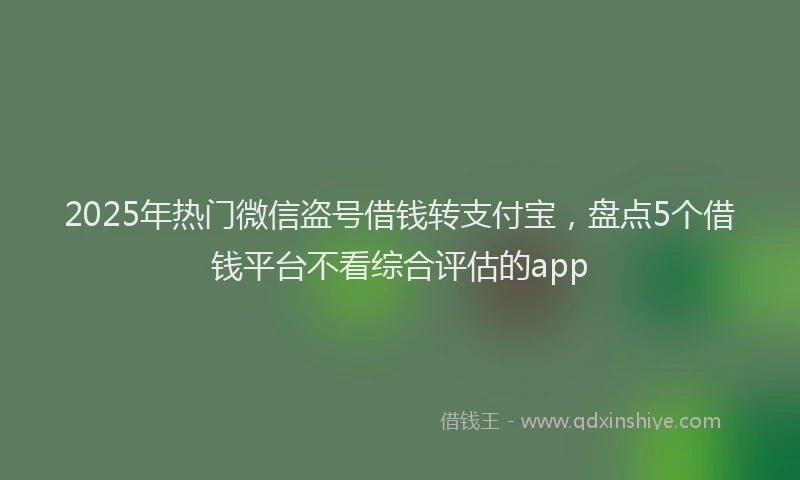 2025年热门微信盗号借钱转支付宝，盘点5个借钱平台不看综合评估的app