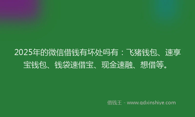 2025年的微信借钱有坏处吗有：飞猪钱包、速享宝钱包、钱袋速借宝、现金速融、想借等。