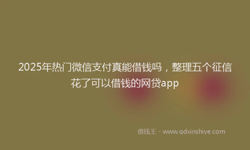 2025年热门微信支付真能借钱吗，整理五个征信花了可以借钱的网贷app