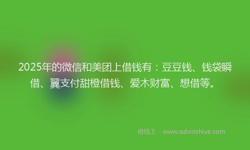 2025年的微信和美团上借钱有：豆豆钱、钱袋瞬借、翼支付甜橙借钱、爱木财富、想借等。