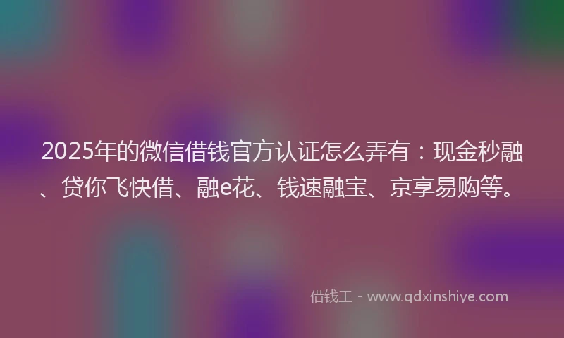 2025年的微信借钱官方认证怎么弄有：现金秒融、贷你飞快借、融e花、钱速融宝、京享易购等。