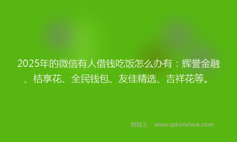 2025年的微信有人借钱吃饭怎么办有：辉誉金融、桔享花、全民钱包、友佳精选、吉祥花等。