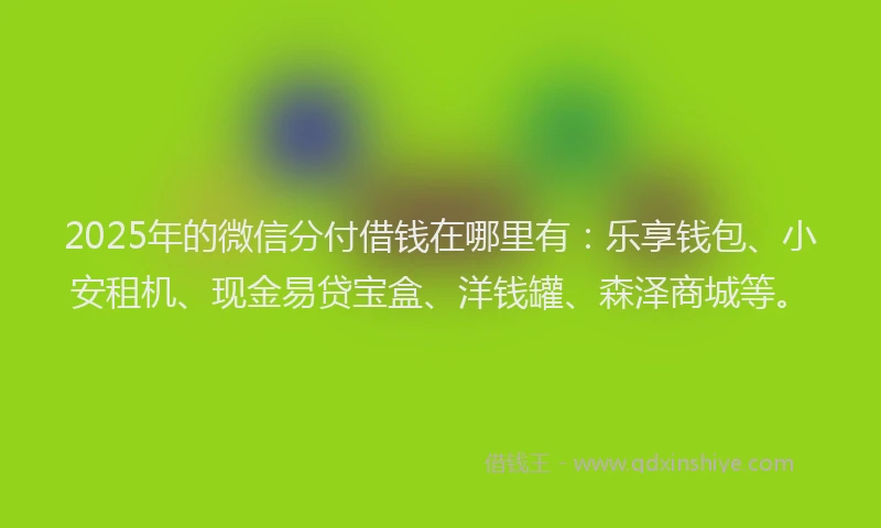 2025年的微信分付借钱在哪里有：乐享钱包、小安租机、现金易贷宝盒、洋钱罐、森泽商城等。
