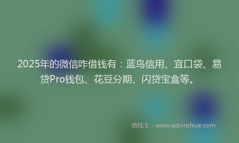 2025年的微信咋借钱有：蓝鸟信用、宜口袋、易贷Pro钱包、花豆分期、闪贷宝盒等。