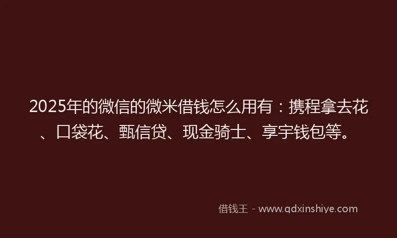 2025年的微信的微米借钱怎么用有：携程拿去花、口袋花、甄信贷、现金骑士、享宇钱包等。