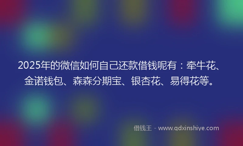 2025年的微信如何自己还款借钱呢有：牵牛花、金诺钱包、森森分期宝、银杏花、易得花等。
