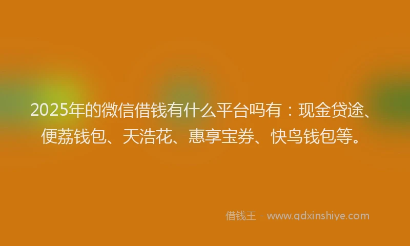2025年的微信借钱有什么平台吗有：现金贷途、便荔钱包、天浩花、惠享宝券、快鸟钱包等。