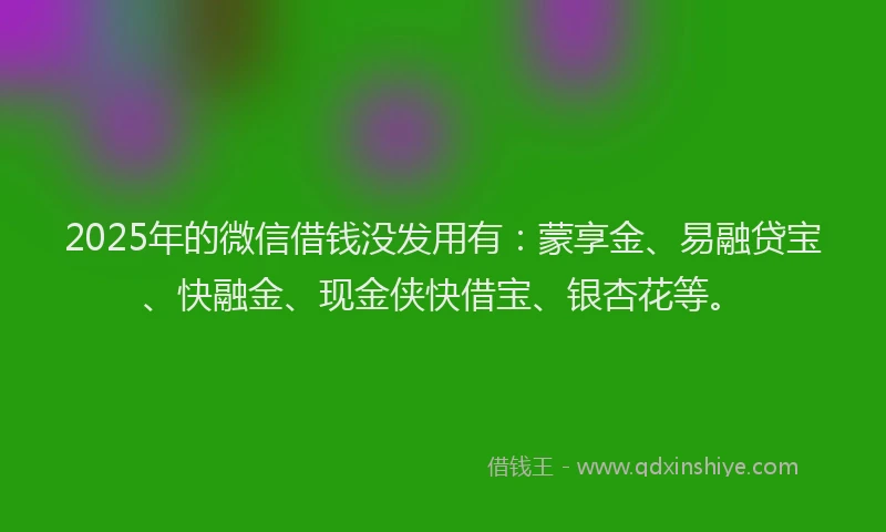 2025年的微信借钱没发用有：蒙享金、易融贷宝、快融金、现金侠快借宝、银杏花等。