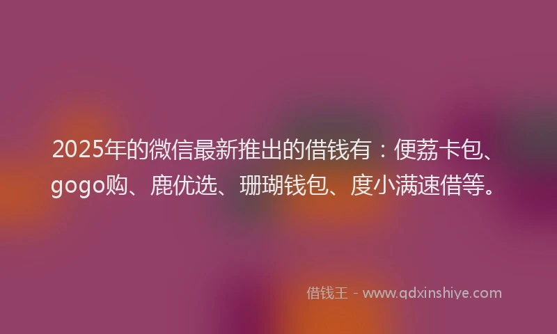 2025年的微信最新推出的借钱有：便荔卡包、gogo购、鹿优选、珊瑚钱包、度小满速借等。