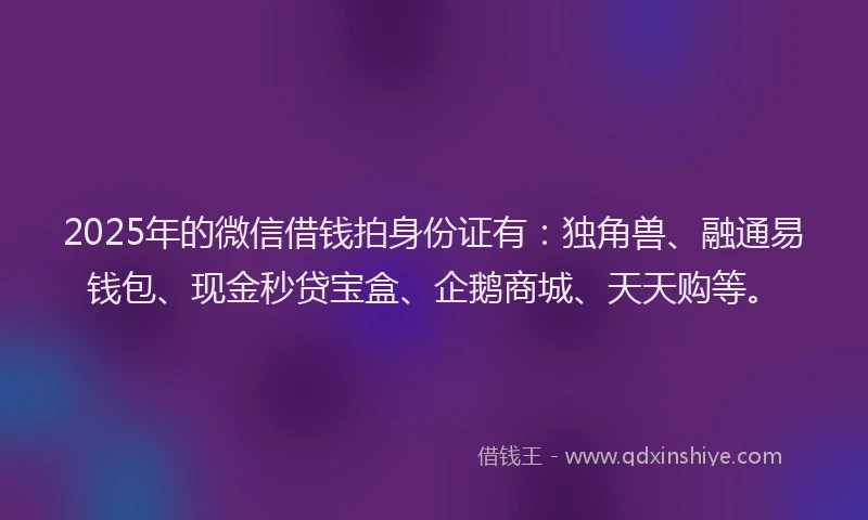 2025年的微信借钱拍身份证有：独角兽、融通易钱包、现金秒贷宝盒、企鹅商城、天天购等。