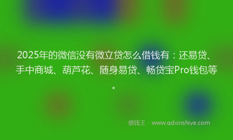 2025年的微信没有微立贷怎么借钱有：还易贷、手中商城、葫芦花、随身易贷、畅贷宝Pro钱包等。