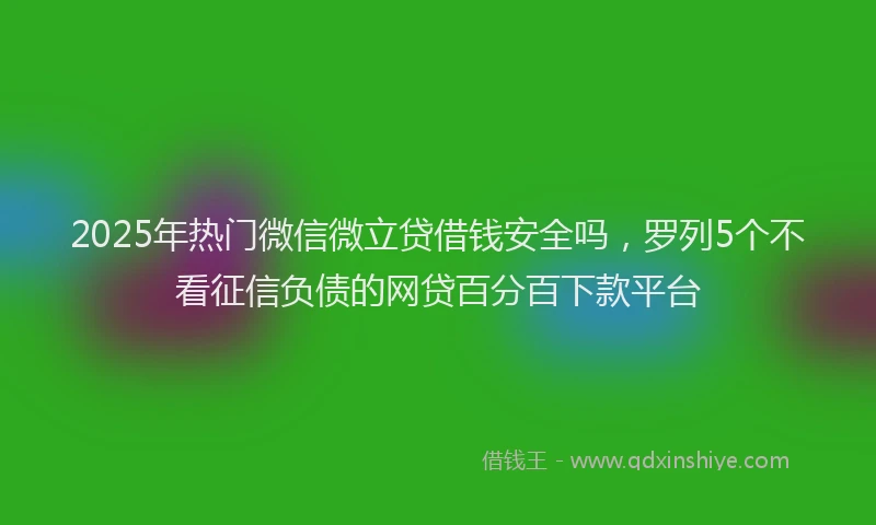 2025年热门微信微立贷借钱安全吗，罗列5个不看征信负债的网贷百分百下款平台