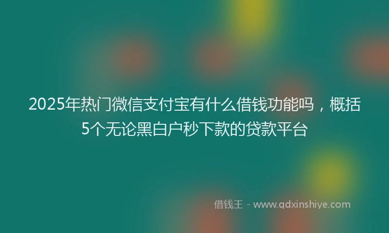 2025年热门微信支付宝有什么借钱功能吗，概括5个无论黑白户秒下款的贷款平台