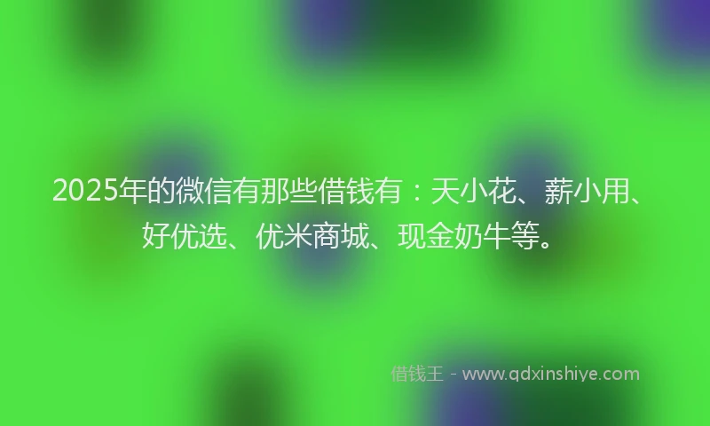 2025年的微信有那些借钱有：天小花、薪小用、好优选、优米商城、现金奶牛等。