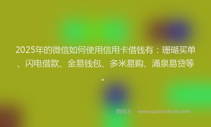 2025年的微信如何使用信用卡借钱有：珊瑚买单、闪电借款、金易钱包、多米易购、涌泉易贷等。