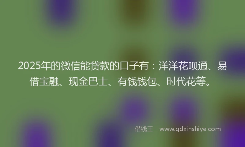 2025年的微信能贷款的口子有：洋洋花呗通、易借宝融、现金巴士、有钱钱包、时代花等。