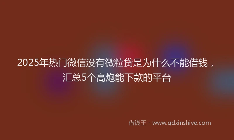 2025年热门微信没有微粒贷是为什么不能借钱，汇总5个高炮能下款的平台