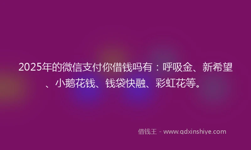 2025年的微信支付你借钱吗有：呼吸金、新希望、小鹅花钱、钱袋快融、彩虹花等。