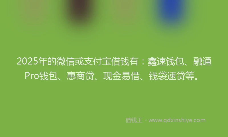 2025年的微信或支付宝借钱有：鑫速钱包、融通Pro钱包、惠商贷、现金易借、钱袋速贷等。