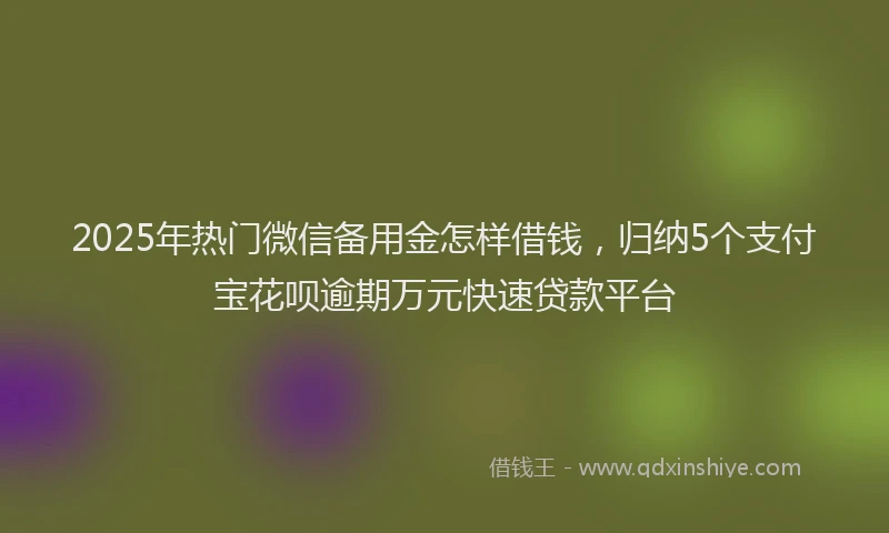2025年热门微信备用金怎样借钱，归纳5个支付宝花呗逾期万元快速贷款平台