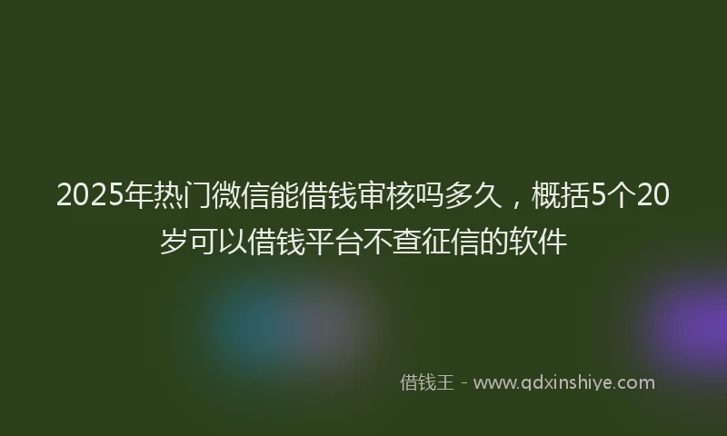 2025年热门微信能借钱审核吗多久，概括5个20岁可以借钱平台不查征信的软件