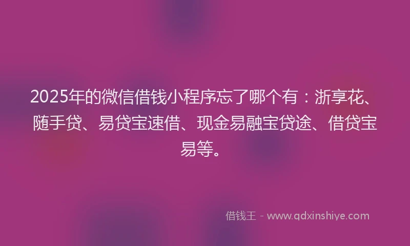 2025年的微信借钱小程序忘了哪个有：浙享花、随手贷、易贷宝速借、现金易融宝贷途、借贷宝易等。