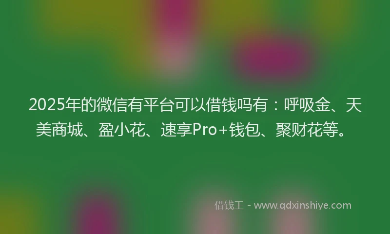 2025年的微信有平台可以借钱吗有：呼吸金、天美商城、盈小花、速享Pro+钱包、聚财花等。